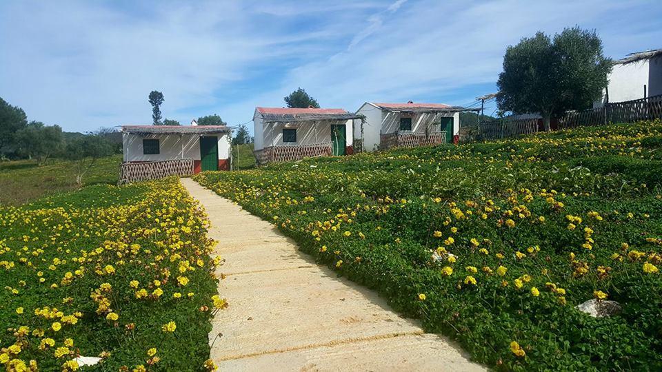 Ferma Jebala Ecolodge Kitane Экстерьер фото